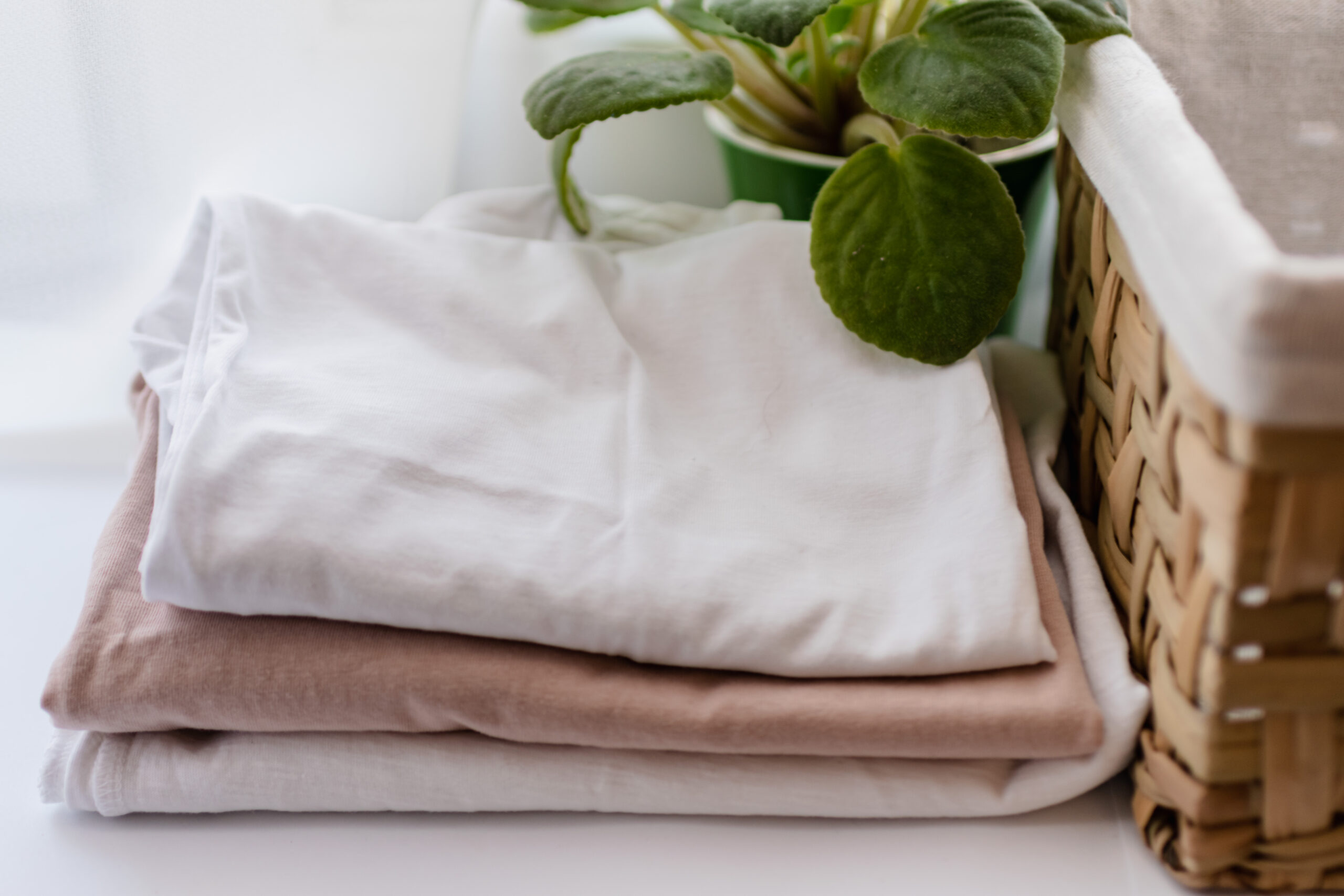 laundered-reusable-t-shirt-on-domestic-room-with-n-2026-01-07-05-42-13-utc
